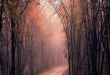 乐鱼：[NBA]加兰变向突破分球 亨特三分手起刀落.