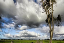 乐鱼:哈尔滨亚冬会中国体育代表团成立 将参加6个大项全部小项的比赛央视体育.