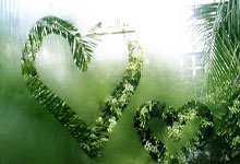 遗憾惜败 中国选手王欣瑜不敌巴多萨 止步澳网首轮央视新闻客户端.