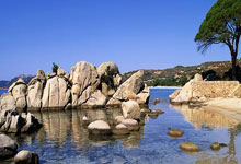 央视直播!国乒蒯遭遇张本美和 钱天一有恶战 陈幸同面临死亡之组!女单签表.